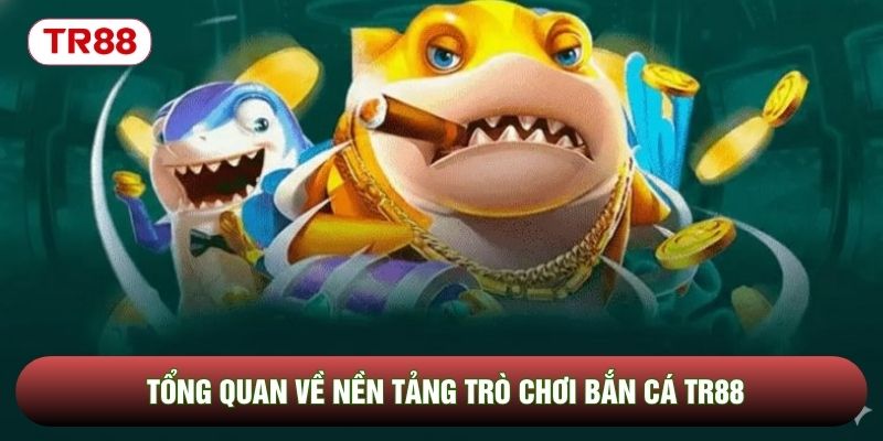 Tổng quan về nền tảng trò chơi bắn cá TR88 Tổng quan về nền tảng trò chơi bắn cá TR88