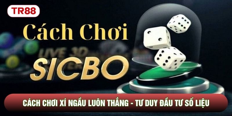 Cách Chơi Xí Ngầu Luôn Thắng - Tư Duy Đầu Tư Số Liệu