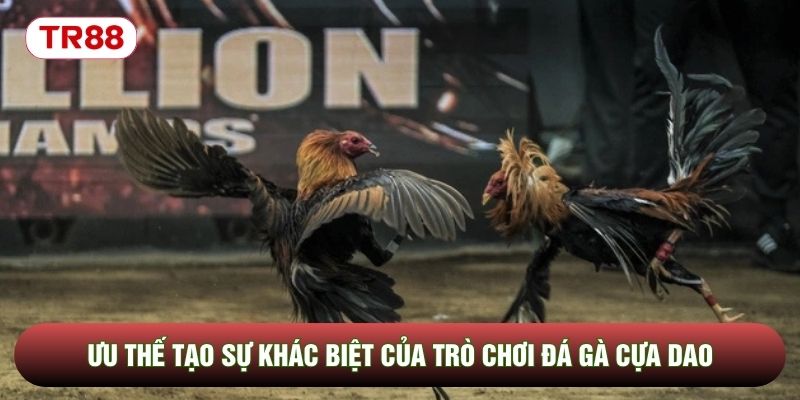 Ưu thế tạo sự khác biệt của trò chơi đá gà cựa dao Ưu thế tạo sự khác biệt của trò chơi đá gà cựa dao