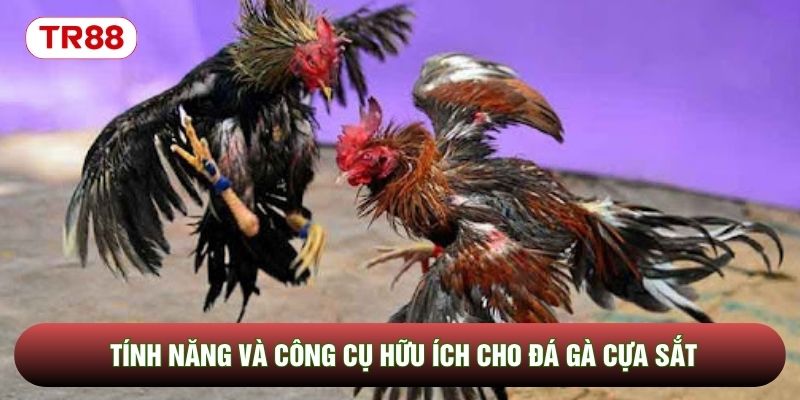 Tính năng và công cụ hữu ích cho đá gà cựa sắt Tính năng và công cụ hữu ích cho đá gà cựa sắt