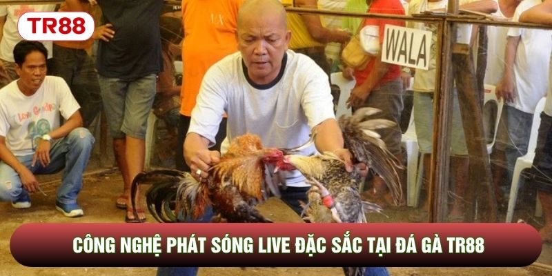 Công nghệ phát sóng live đặc sắc tại đá gà TR88 Công nghệ phát sóng live đặc sắc tại đá gà TR88